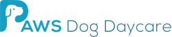 PAWS Dog Daycare